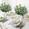 Mixed Eucalyptus Leaves Stems Bulk Silver Dollar Artificial Greenery Leaves Stems Fake Plant Branches for Wedding Bridal Bouquets, Floral Arrangements, Centerpiece, Home Decor(Green,150 Pcs)